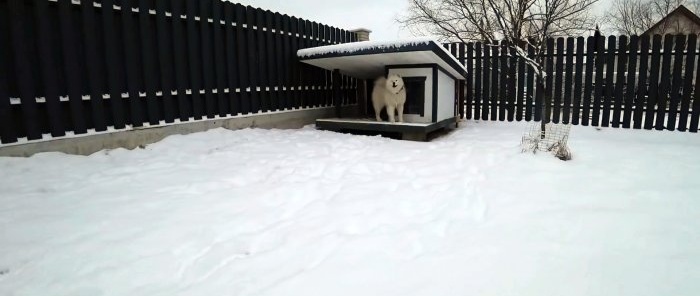 Kaip sukurti šiltą šunų namelį su „Wi-Fi“ valdymu