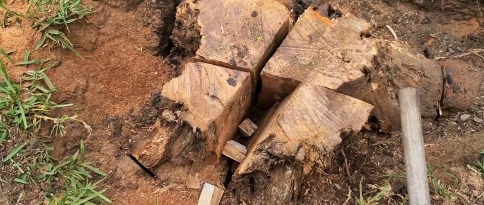 Hogyan távolítsuk el a tuskót fa ékekkel