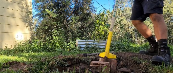 How to remove a tree stump using wooden wedges