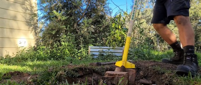 Cara membuang tunggul pokok menggunakan baji kayu