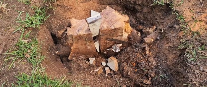 Cum să îndepărtați un ciot de copac folosind pene de lemn