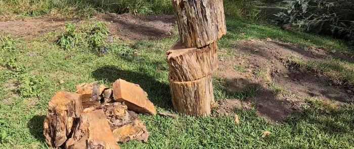 Com treure una soca d'arbre amb falques de fusta