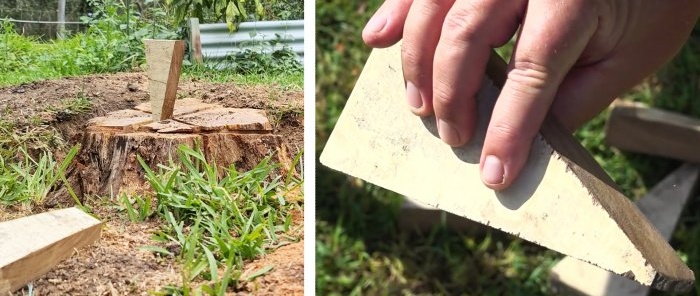 Kaip pašalinti medžio kelmą naudojant medinius pleištus