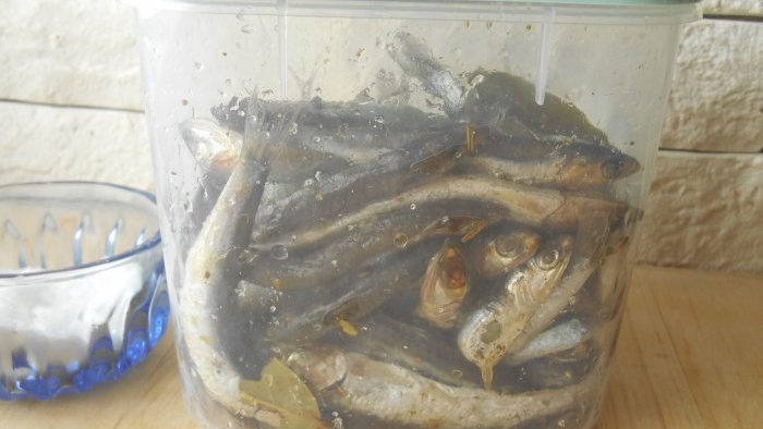 Како укусно киселити зачињено слану хамсу рибу