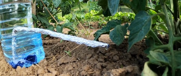 Système d'irrigation goutte à goutte à partir de bouteilles PET - permettra d'économiser de l'eau et d'augmenter le rendement