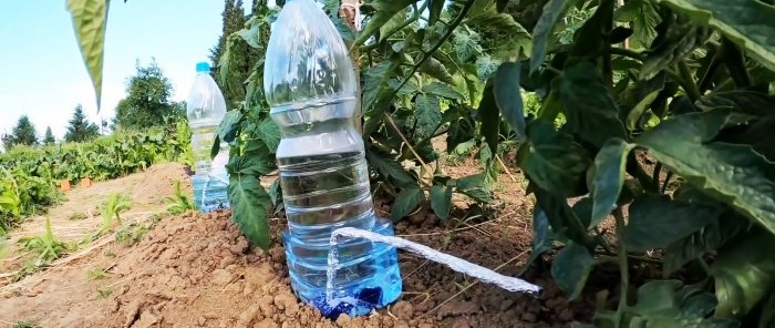 Lašelinė laistymo sistema iš PET butelių – taupys vandenį ir padidins derlių