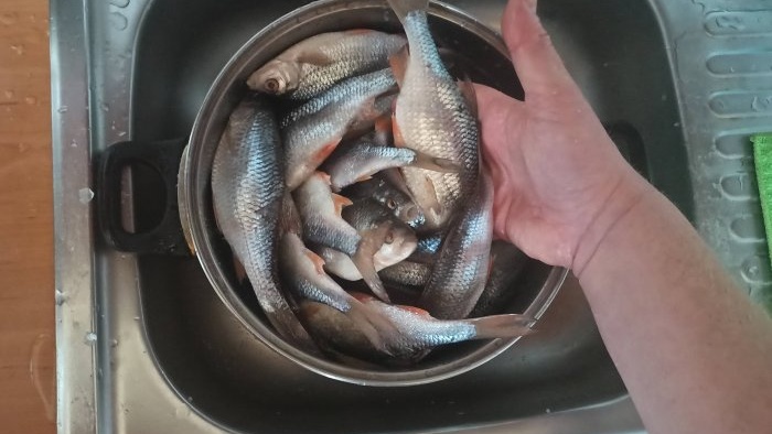 Uma maneira simples de salgar e secar peixe em uma secadora elétrica