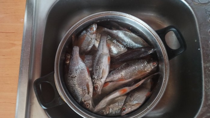 Isang simpleng paraan ng pag-asin at pagpapatuyo ng isda sa isang electric dryer