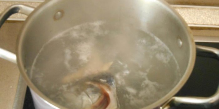 Rosa Lachssuppe – eine sehr schnelle und einfache Suppe