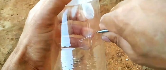Un mètode simplificat per fer germinar un gran nombre d'esqueixos en una ampolla