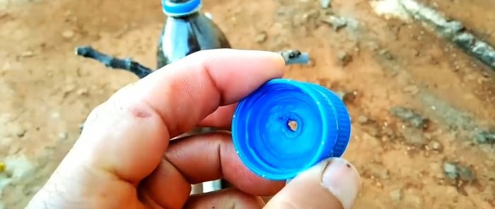 Un método simplificado para germinar una gran cantidad de esquejes en una botella.