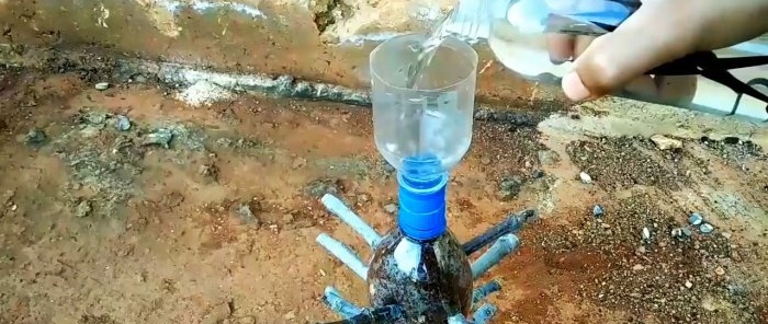 Uproszczona metoda kiełkowania dużej liczby sadzonek w butelce