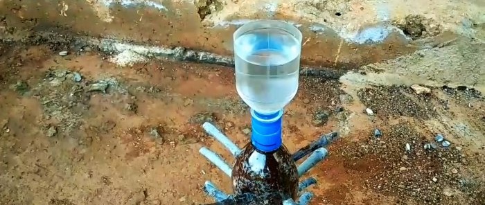 Een vereenvoudigde methode om een ​​groot aantal stekken in een fles te laten ontkiemen