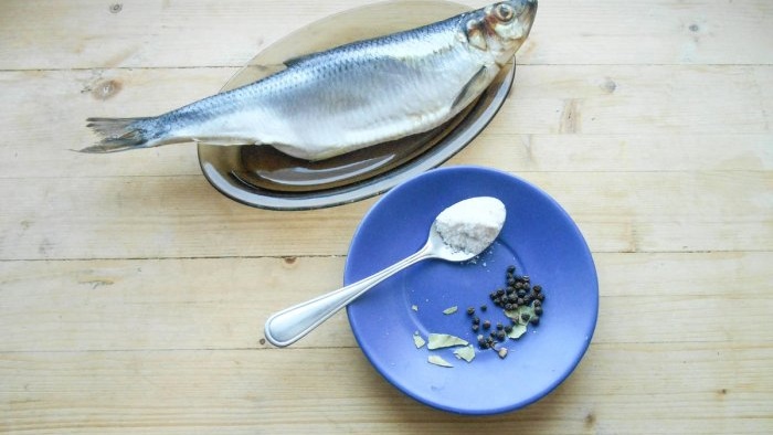 How to salt herring in an extremely tasty way: 3 dry salting methods