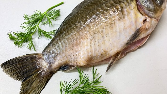 Com fregir correctament una carpa crucian gran en una paella