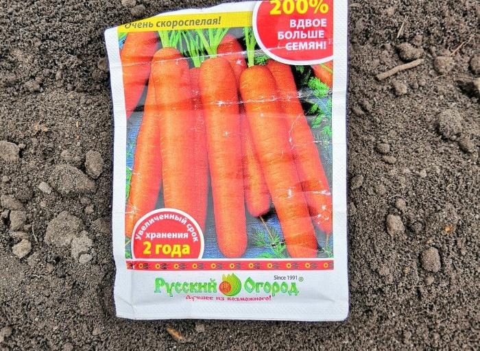Cách trồng cà rốt dễ dàng hơn bằng giấy vệ sinh