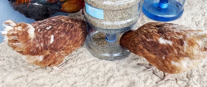Cómo hacer un bebedero y comedero automático duradero para aves a partir de botellas de PET