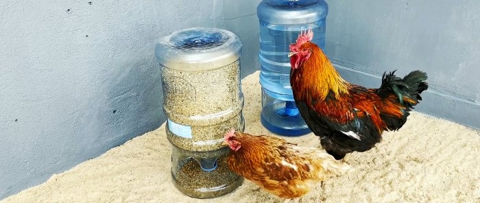 Hur man gör en långvarig dricksautomat och matare för fjäderfä från PET-flaskor