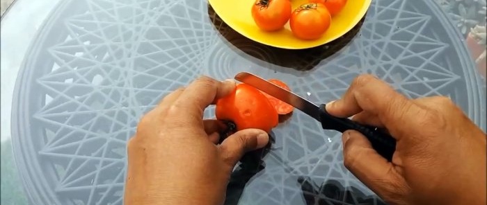 Comment faire pousser des tomates à partir de tomates achetées en magasin Une méthode pour ceux qui n'ont pas de jardin