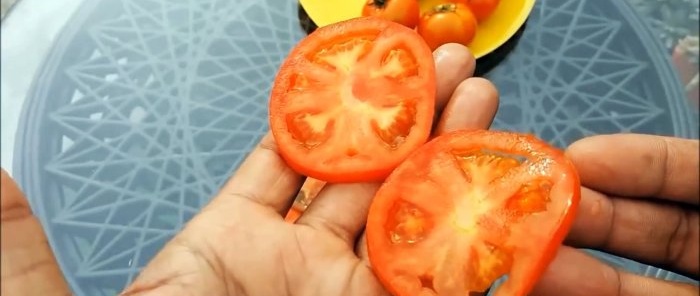Jak vypěstovat rajčata z těch z obchodu Metoda pro ty, kteří nemají zahradu