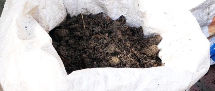 Una forma inesperada de cultivar patatas en bolsas. Sin parcela e incluso en el balcón.