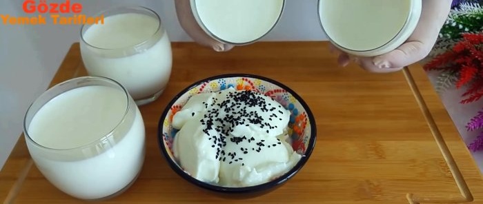 Rahsia membuat yogurt buatan sendiri tanpa pembuat yogurt Harga sudu