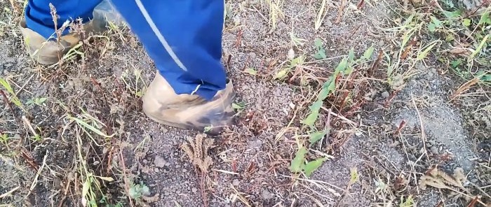 Consells d'un agrònom experimentat sobre com suavitzar el sòl per a una collita rica