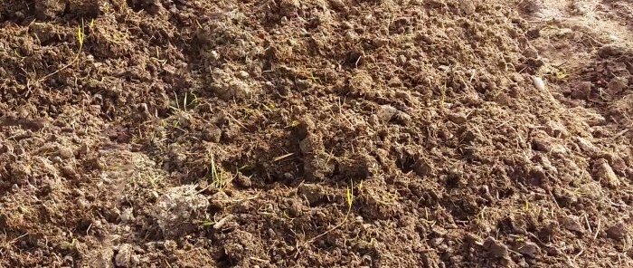 Consigli di un agronomo esperto su come ammorbidire il terreno per un ricco raccolto