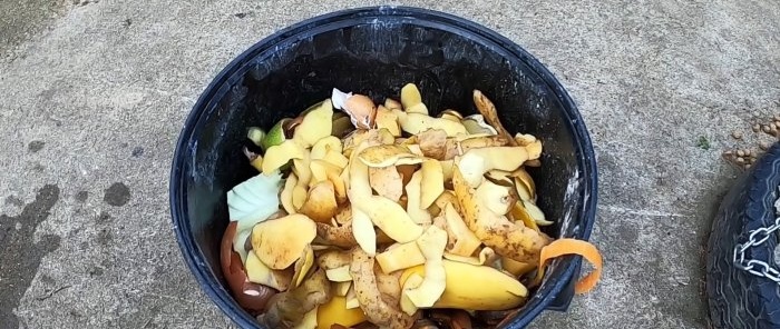 Por que jardineiros experientes enterram resíduos de cozinha no jardim?