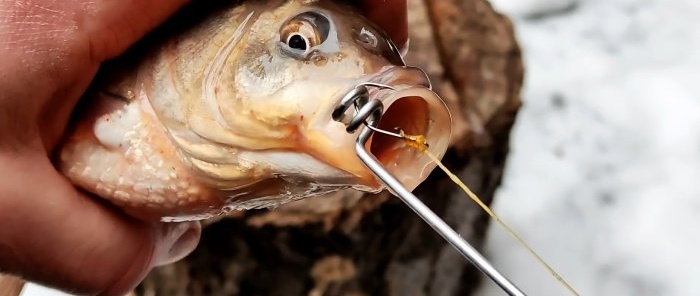 Kaip pasidaryti žuvies kabliuko nuėmiklį