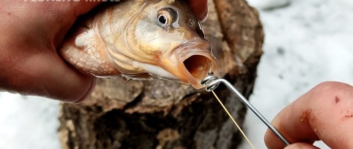 איך להכין כלי להסרת וו דגים