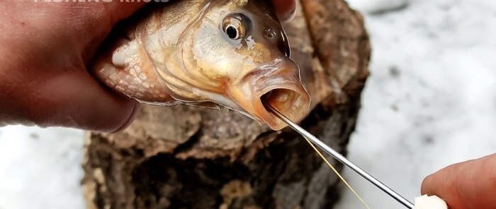 Cara membuat penanggal mata kail ikan