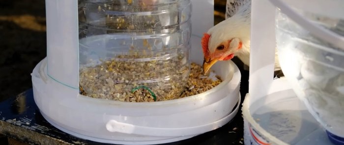 Лесен за възпроизвеждане дизайн на дълготрайна автоматична хранилка и автоматична поилка за домашни птици