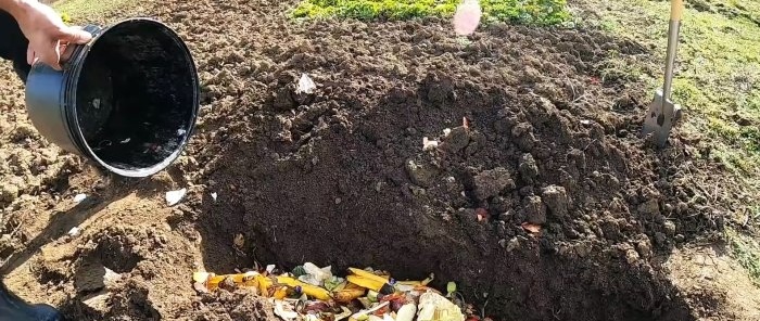 Why do experienced gardeners bury kitchen waste in the garden?
