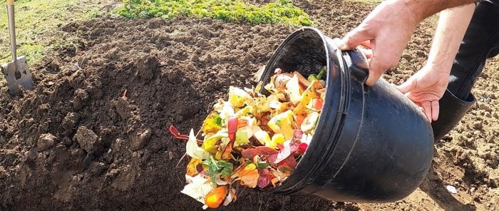 Per què els jardiners experimentats enterren les deixalles de cuina al jardí?