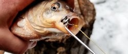 Jak zrobić narzędzie do usuwania haczyków na ryby