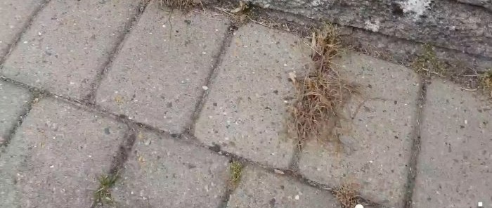 Cách loại bỏ cỏ giữa các viên gạch dễ dàng mà không cần mua hóa chất