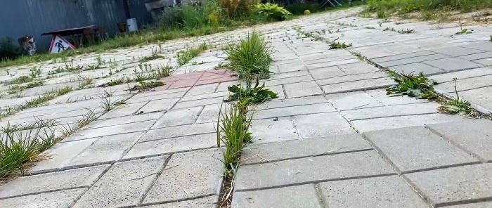 Hur man snabbt blir av med gräs vid fogarna på plattor på stigar