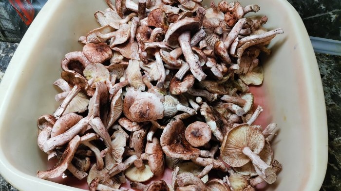 Een eenvoudig recept voor koud ingelegde champignons