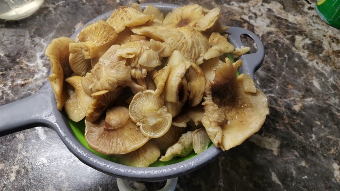 Une recette simple de champignons marinés à froid