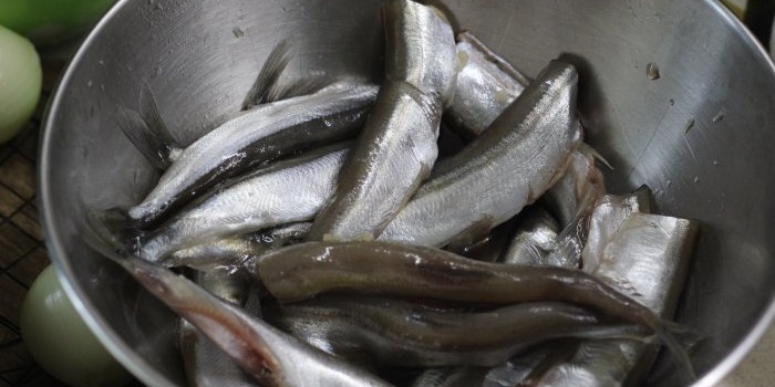 Budget delicacy How to deliciously fry capelin in a frying pan