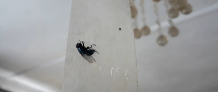 Sådan slipper du af med fluer og myrer i huset med hjemmelavede midler