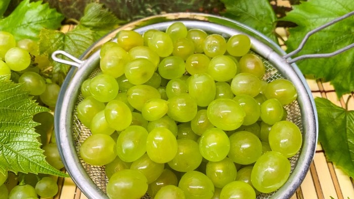 Hogyan fagyasztható le a zöld szőlő, hogy a bogyók ne veszítsék el eredeti formájukat