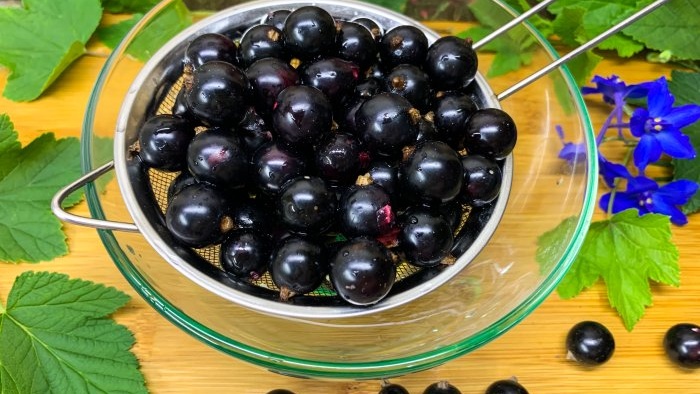 Hela 3 sätt att frysa svarta vinbär till vintern utan socker