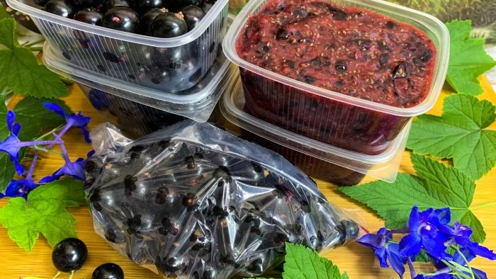 As many as 3 ways to freeze blackcurrants for the winter without sugar