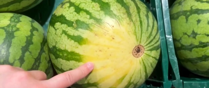 Hvordan finne en moden og søt vannmelon hver gang