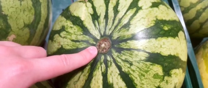 How to find a ripe and sweet watermelon every time