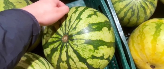 How to find a ripe and sweet watermelon every time