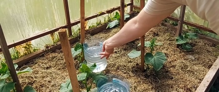 Sistema di irrigazione a goccia in un paio di minuti e senza alcun costo