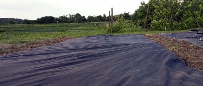 Une méthode moderne vous permettra d'oublier les mauvaises herbes du jardin pendant toute la saison.